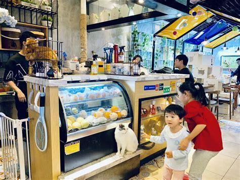 宠物餐厅
